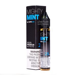 سالت ویگاد با طعم نعنا، یخ | Mighty Mint